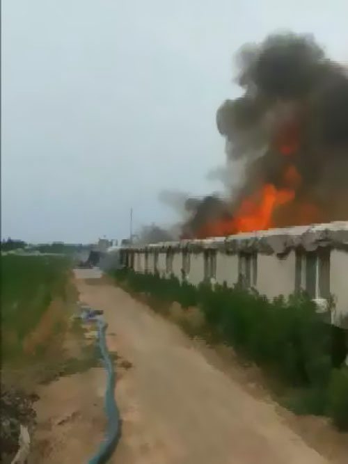 ������Ȼ�@����������ԭ����������