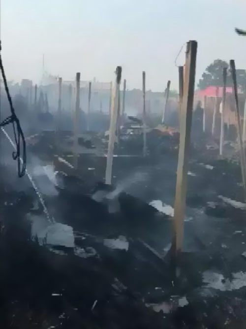 ������Ȼ�@����������ԭ����������